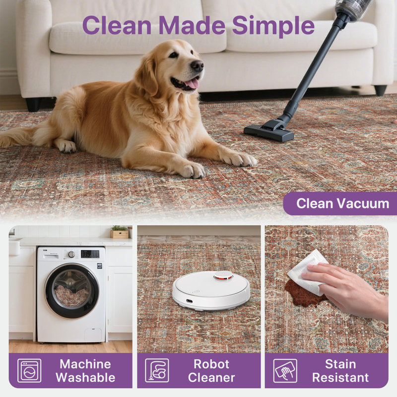 Abastos - Vintage Machine Washable Area Rug for High-Traffic Homes