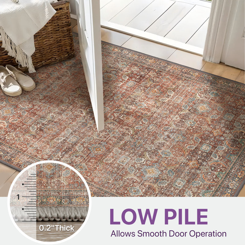 Abastos - Vintage Machine Washable Area Rug for High-Traffic Homes